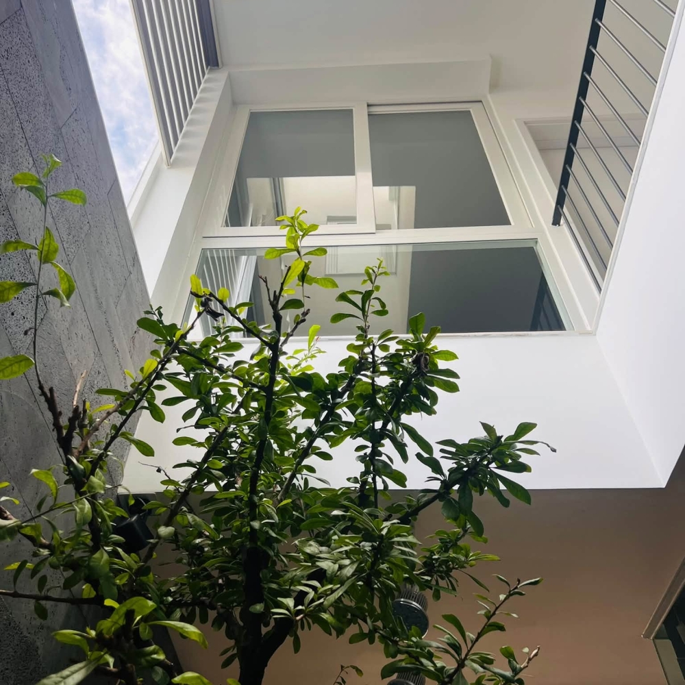 CNH's House