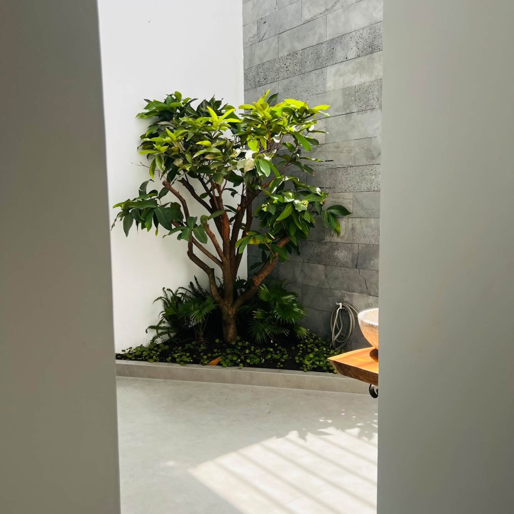 CNH's House