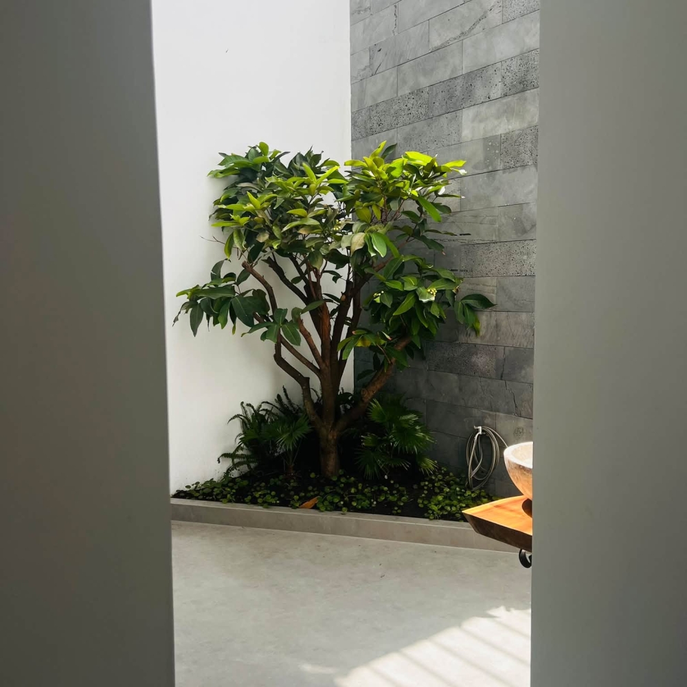 CNH's House